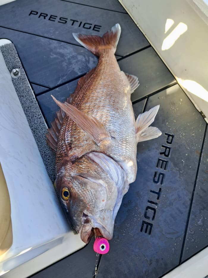 Exclusive 9-Hour Dalmatian Fishing Adventure for 4