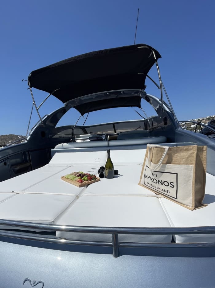 Escapade d'une demi-journée : Une pure magie blanche et bleue à bord d'un yacht à moteur