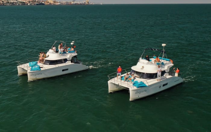Doublez le plaisir avec un voyage sur DEUX catamarans à Lisbonne