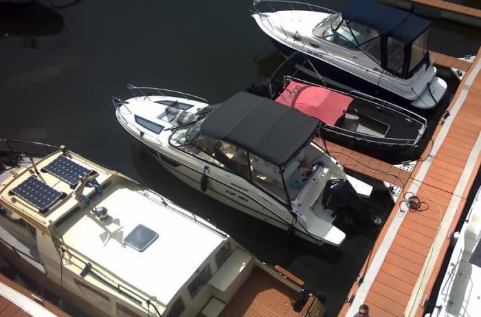 Discover Biesbosch: Half-day of pure joy on a motorboat