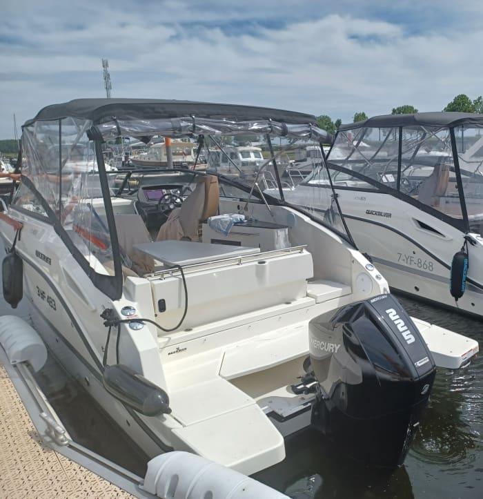 Discover Biesbosch: Half-day of pure joy on a motorboat
