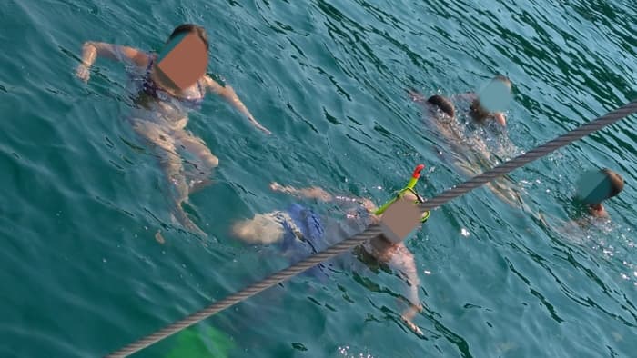 Private 7h sailing trip in Vrsar