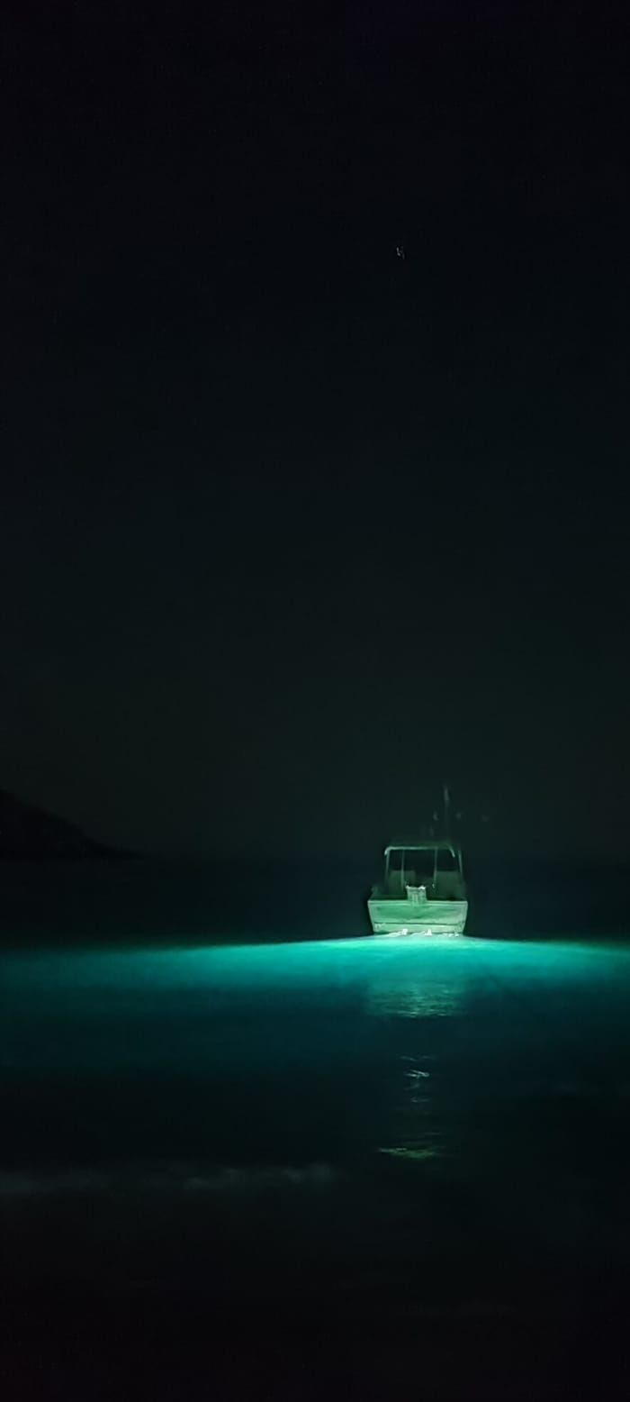 Profitez de chaque instant : une journée ensoleillée autour de Salamine en bateau à moteur