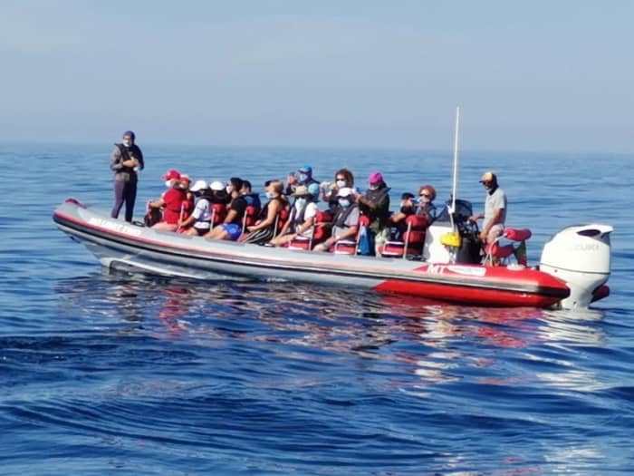 4 heures pour découvrir Albufeira en bateau à moteur