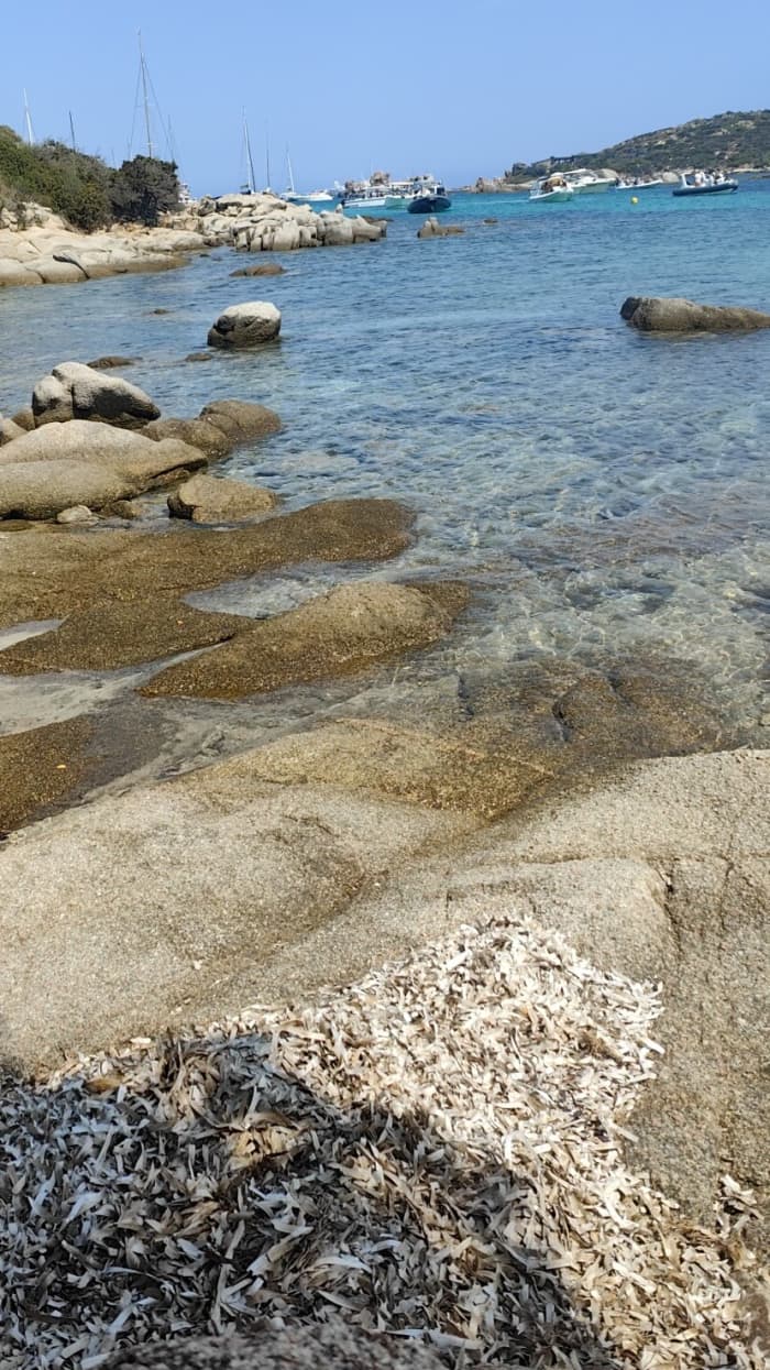 Un giorno alla scoperta di Punta Ala: la vera Dolce Vita in barca a vela