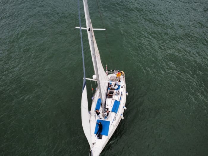 Escursione in barca a vela di un'intera giornata sull'isola di Faial.
