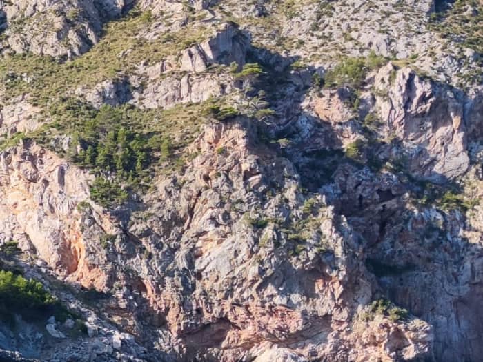 TOP Excursie: 6 uur langs de noordkust van Mallorca
