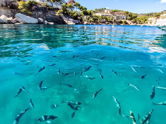 TOP Excursie: 6 uur langs de noordkust van Mallorca