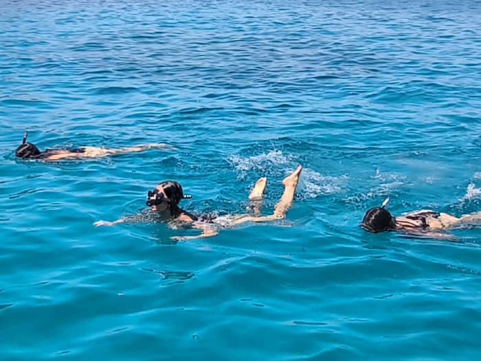 TOP Excursie: 6 uur langs de noordkust van Mallorca