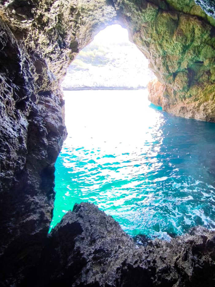 TOP Excursie: 6 uur langs de noordkust van Mallorca
