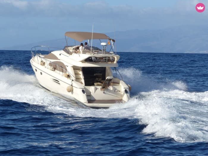 Tenerife’s Best Views: 6h Cruise to Acantilados de Los Gigantes