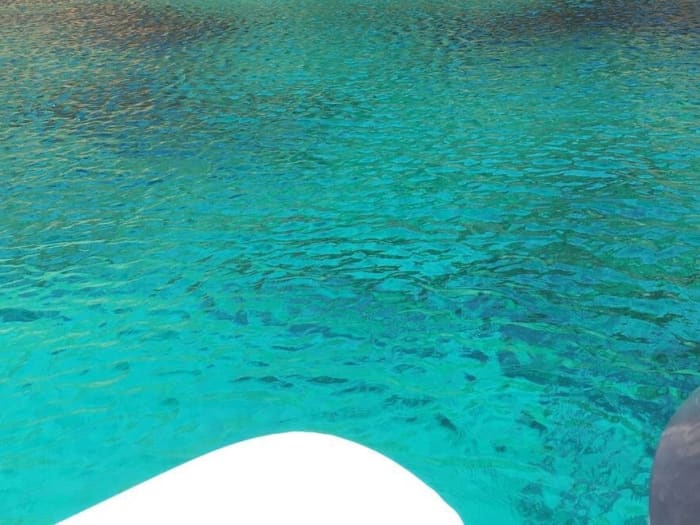 Half-day motorboat rental in Calvi