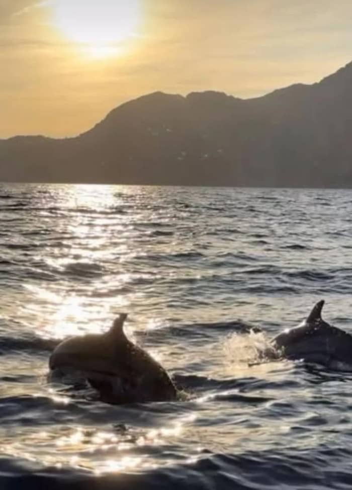 Heiratsantrag bei Sonnenuntergang in Amalfi: Eine romantische Kreuzfahrt ab Maiori