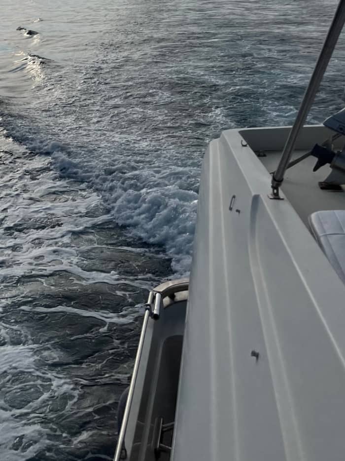 Cinque Terre Full-Day Boat Tour – Starting from Bocca di Magra