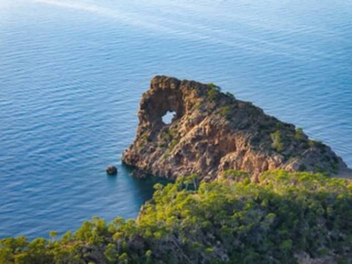 Croisière côtière de 6 heures jusqu'à Cabo Pino et déjeuner à La Cabana