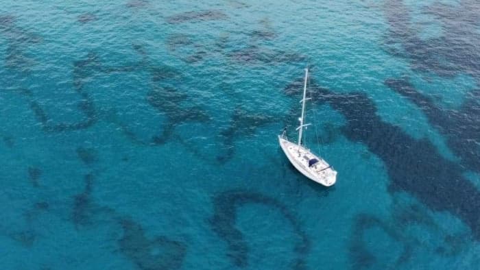 Discover wild Corsica!!! Departure from Ajaccio or wherever suits you best…