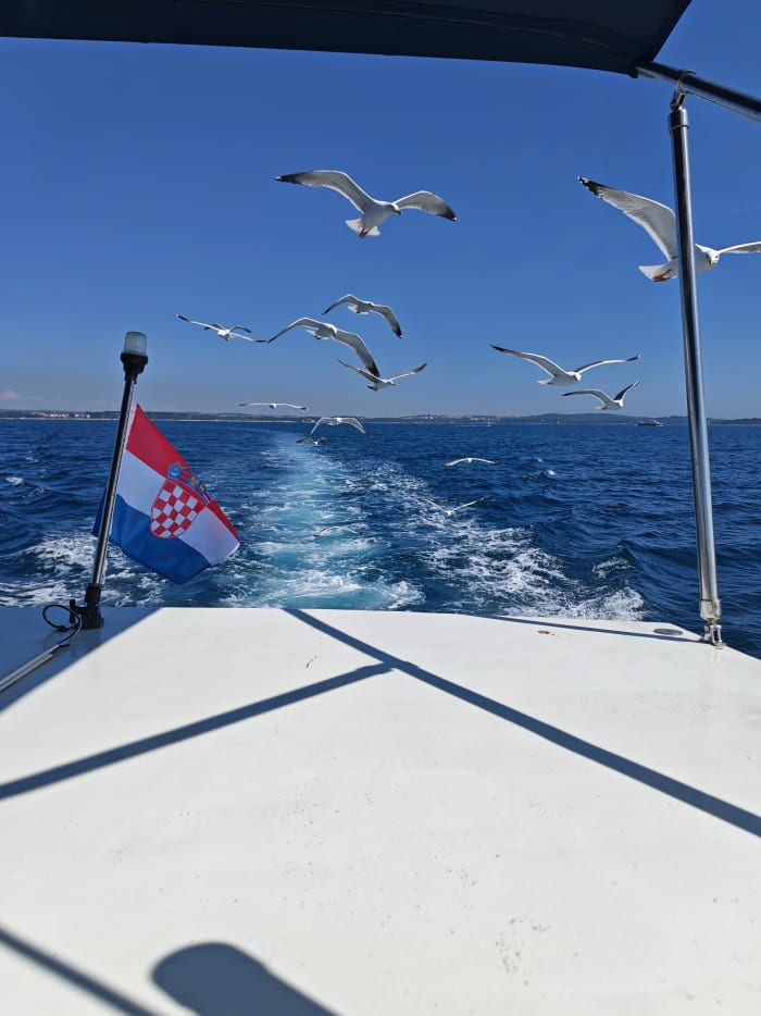 Full-Day Private Yacht aroundPula@NP Brijuni⭐ 100% Private Experience — No Other Guests on Board