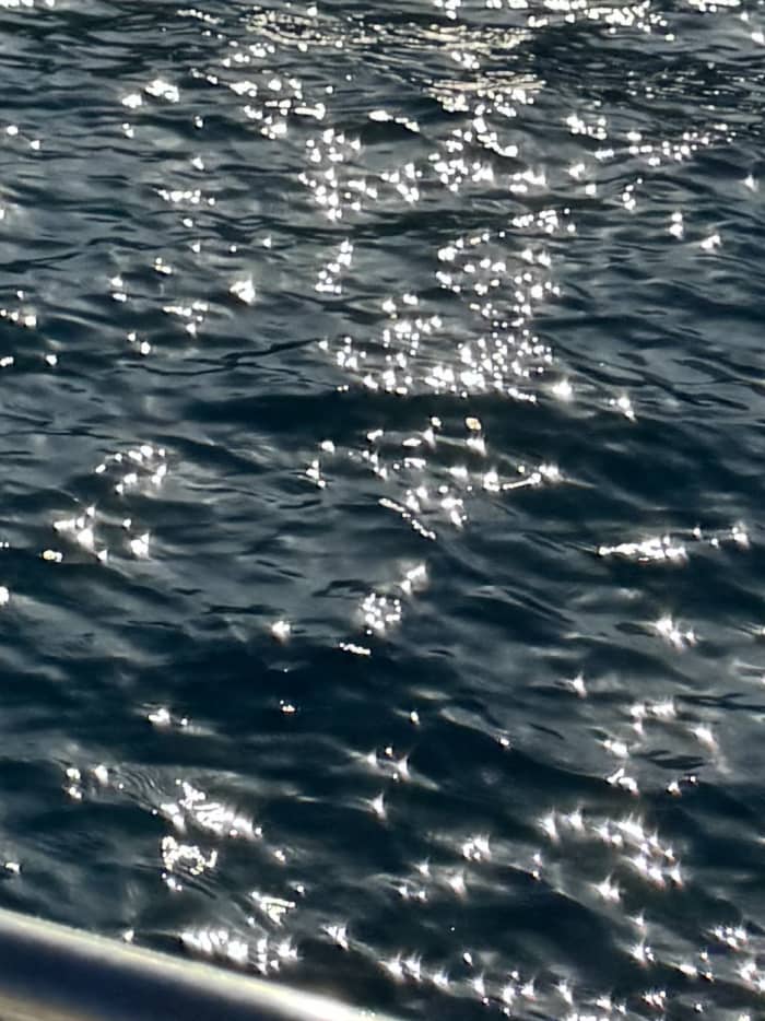 Antalya Coastal Escape: Chalticak Bay & Turtle Island Cruise (Sunset in Antalya)