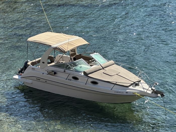 One day in Athens on a motorboat