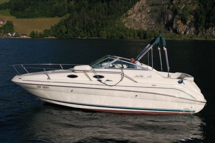 Få varje ögonblick att räknas: En heldag i solen runt Gersau på en motoryacht