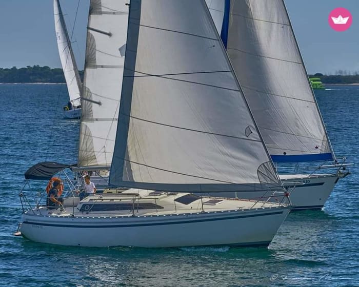 Half-Day Sailing Cruise in Tróia with Paddle & Crew
