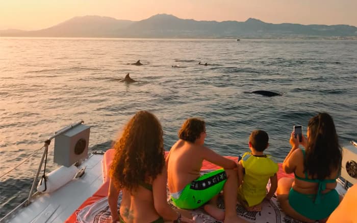 Dolfijnen spotten in Benalmádena