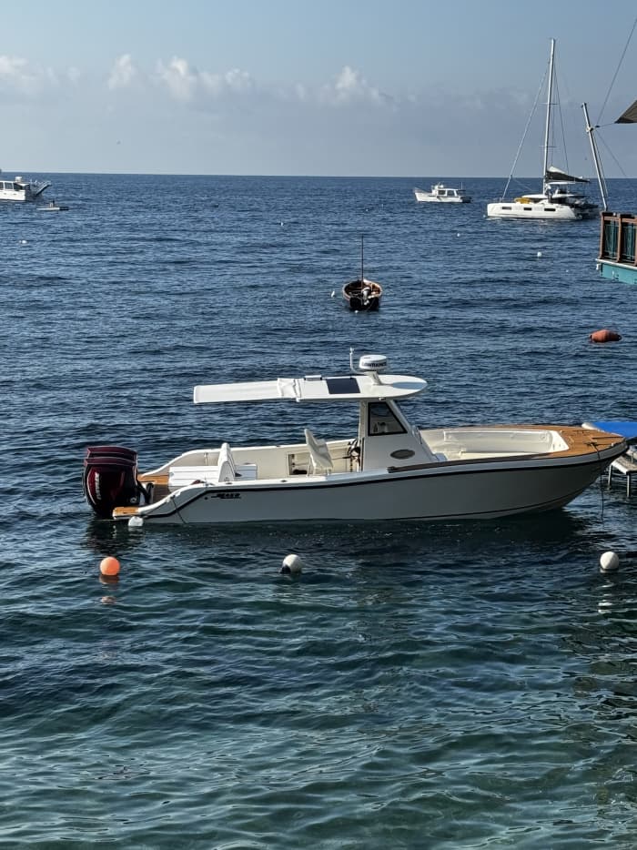 Private Bootstour um Nerano mit einem Motorboot