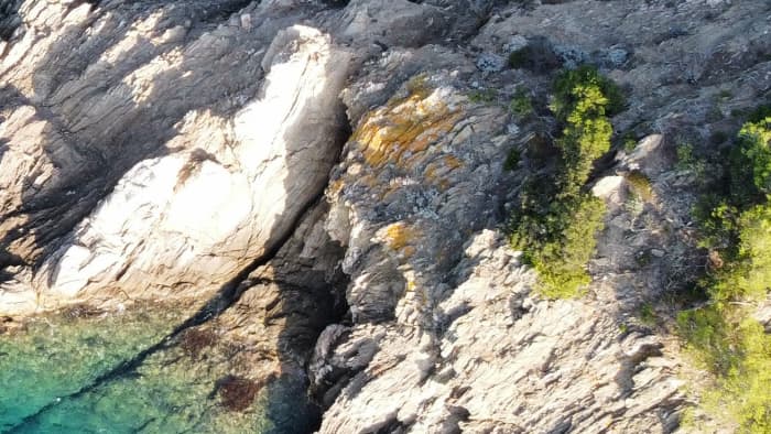 Porquerolles: Privé-uitje naar de Gouden Eilanden