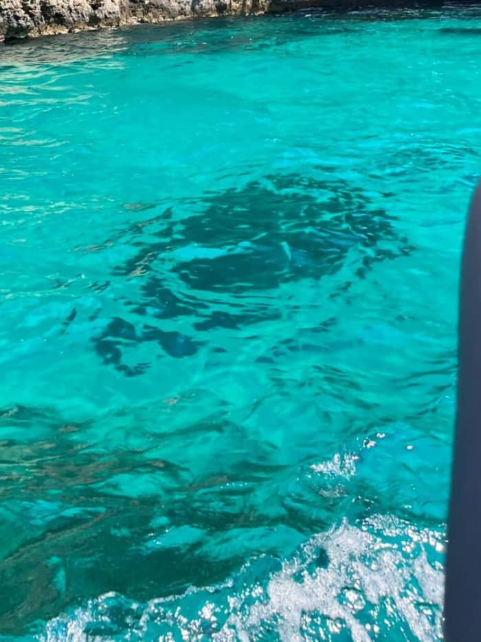Malta by Sea: Full-Day Motorboat Adventure