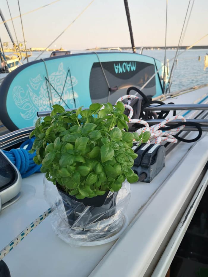 Italiaanse dromen beginnen op zee: een 7 uur durende reis door het hart van Marina di Carrara.