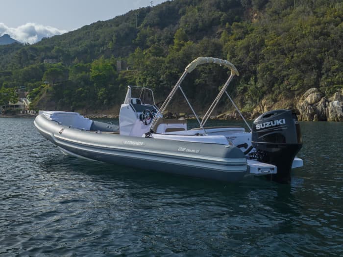 En dag på Elba med motorbåt