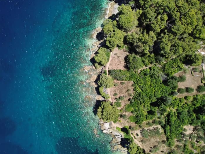 Tour de isla en Zadar: Blue Bay, Ošljak y Preko