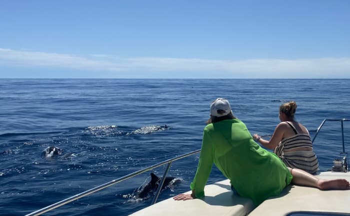 4-Hour Sea Adventure: Sail, explore, and enjoy without rushing
