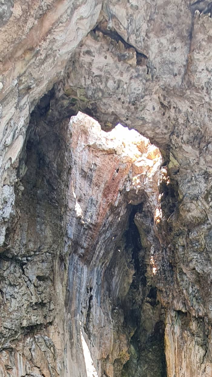 Louez un bateau pour une journée complète afin de découvrir les magnifiques grottes et le monde sous-marin, avec des pauses baignade, des apéritifs et de la musique.