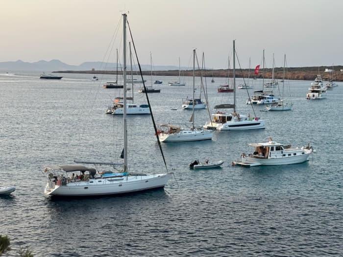 3h Sailing Trip: Paddleboards and snorkel included!