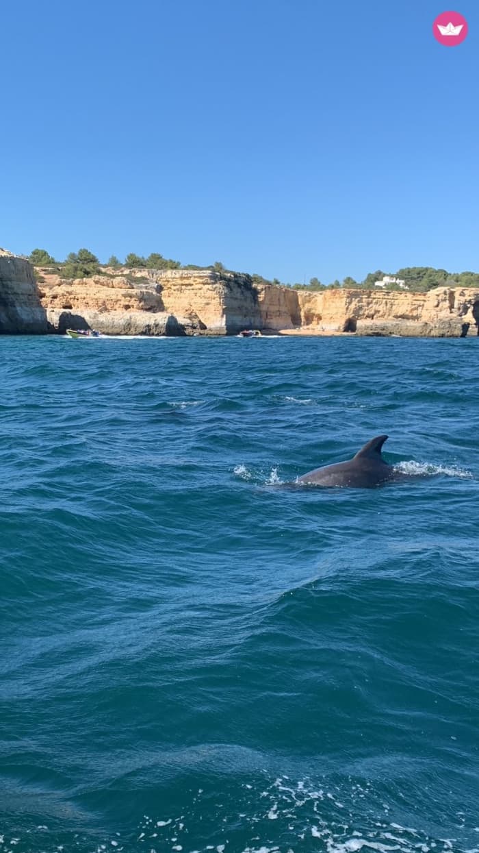Klippor och hemliga stränder: Ett heldagsäventyr i Algarve