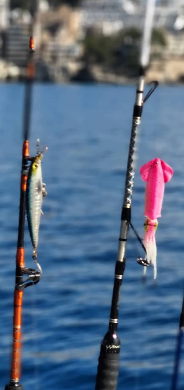 Expérience de pêche à Majorque – Départ du port de Cala Nova