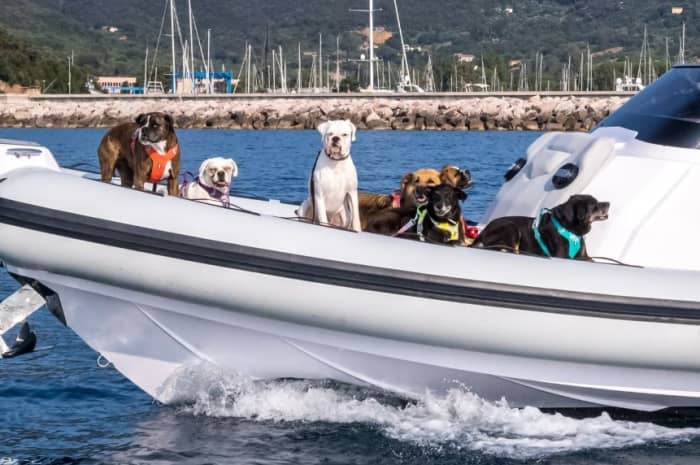 Une journée autour de Porto Ercole : Profitez de 9 heures de découverte en bateau à moteur
