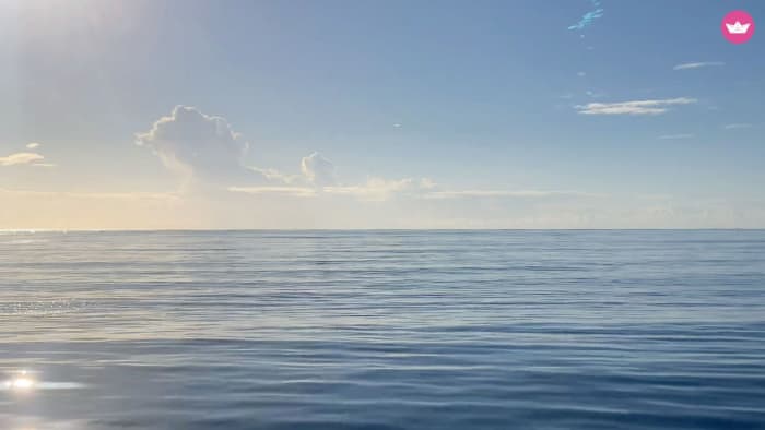 From Morro de Toix to Jávea: A Day at Sea