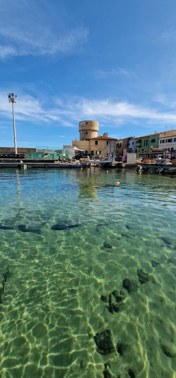 Découvrez Porto Ercole en bateau à moteur pendant 9 heures