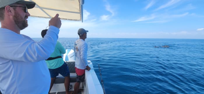 Todomar 38' Motorboot - Panama City - Varen, vissen en snorkelen