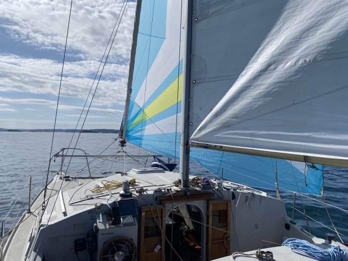 Genießen Sie einen Tag auf See in Roscoff an Bord eines Katamarans.