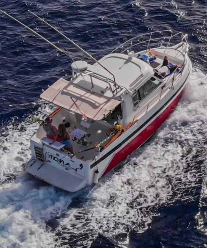 Votre bateau à moteur privé pour une journée autour de Tenerife