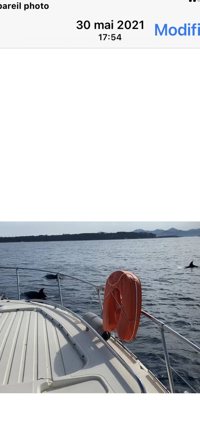 Explore Mandelieu-La Naples by boat: A full day on the water on board a motor boat