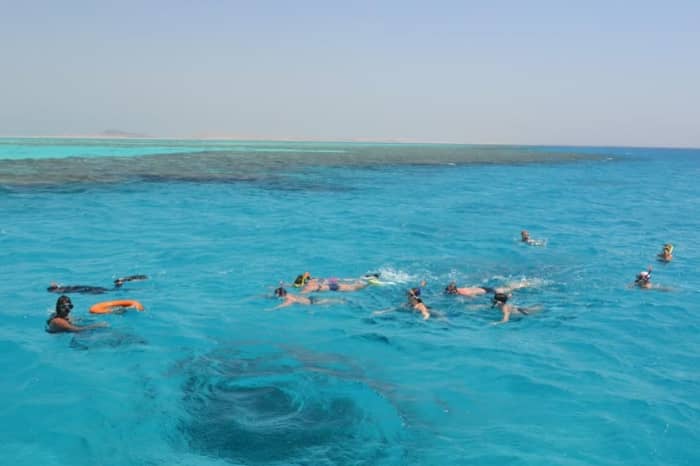 **Codzienny rejs wędkarski pełen akcji: jigging, trolling i casting! 10 osób – Hurghada**