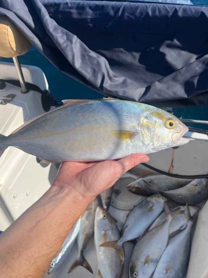 Fishing experience with professional fisherman! Guarantee catch!