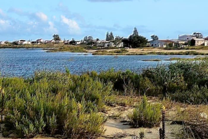 Zrelaksuj się podczas 3-godzinnego rejsu łodzią po Ria Formosa