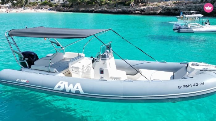 Vier uur durende kusttrip vanuit Cala d'Or