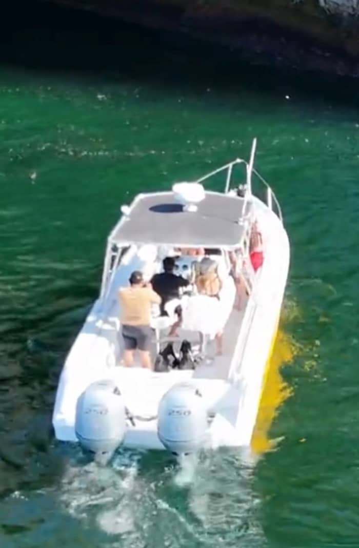 Njut av 8 timmar på en motorbåt för att utforska Puerto Vallarta