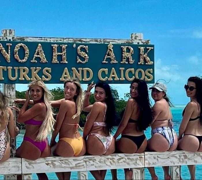 Escapada de lujo al Noah’s Ark Beach Club: una aventura de medio día en catamarán